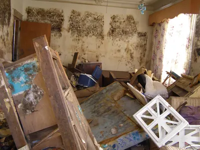Living room walls covered in black mold with damaged furniture and debris